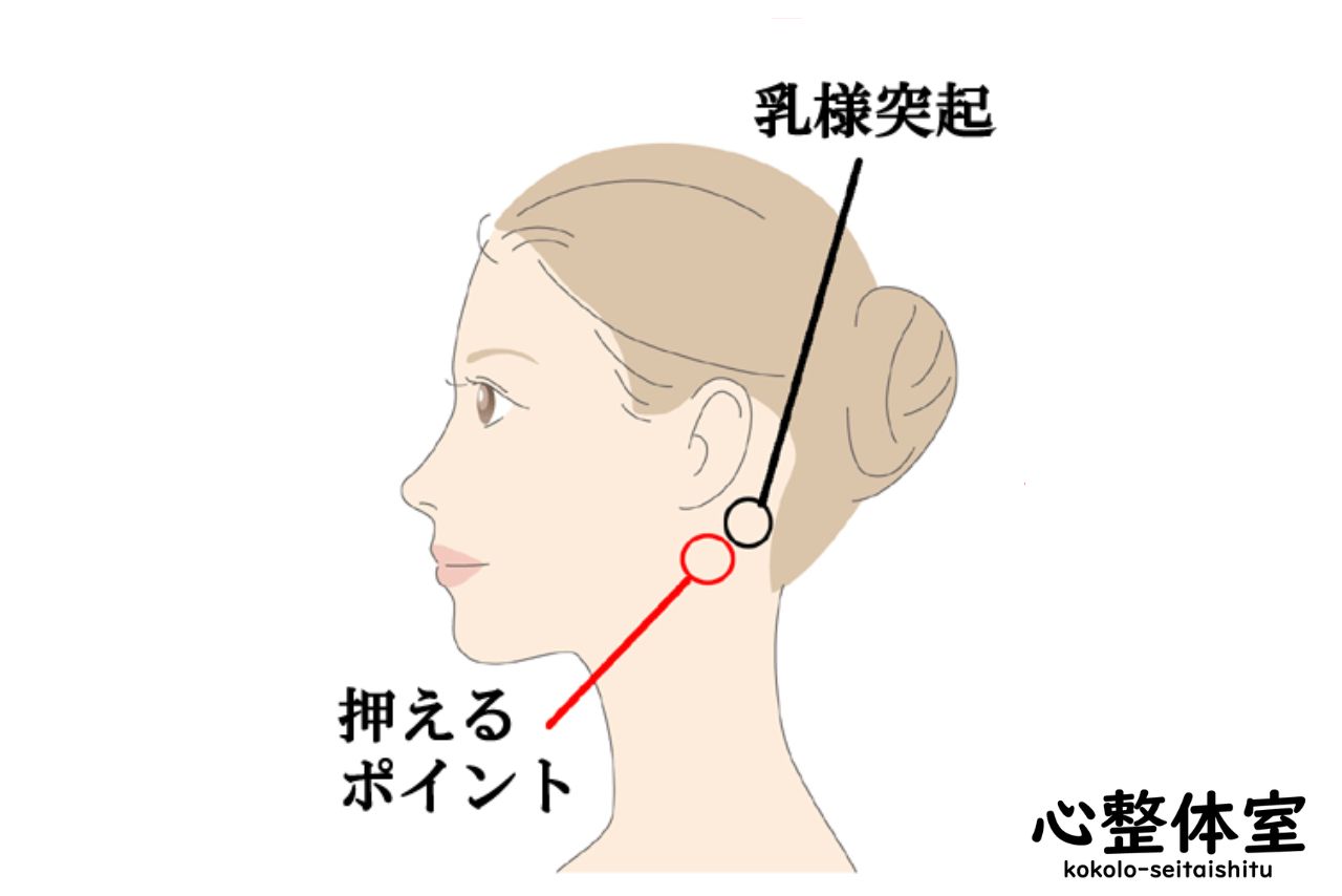 胸鎖乳突筋を押さえる